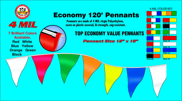 Economy 120' Pennants